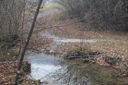 20211125_Divji_potok_Srednja_vas (6)